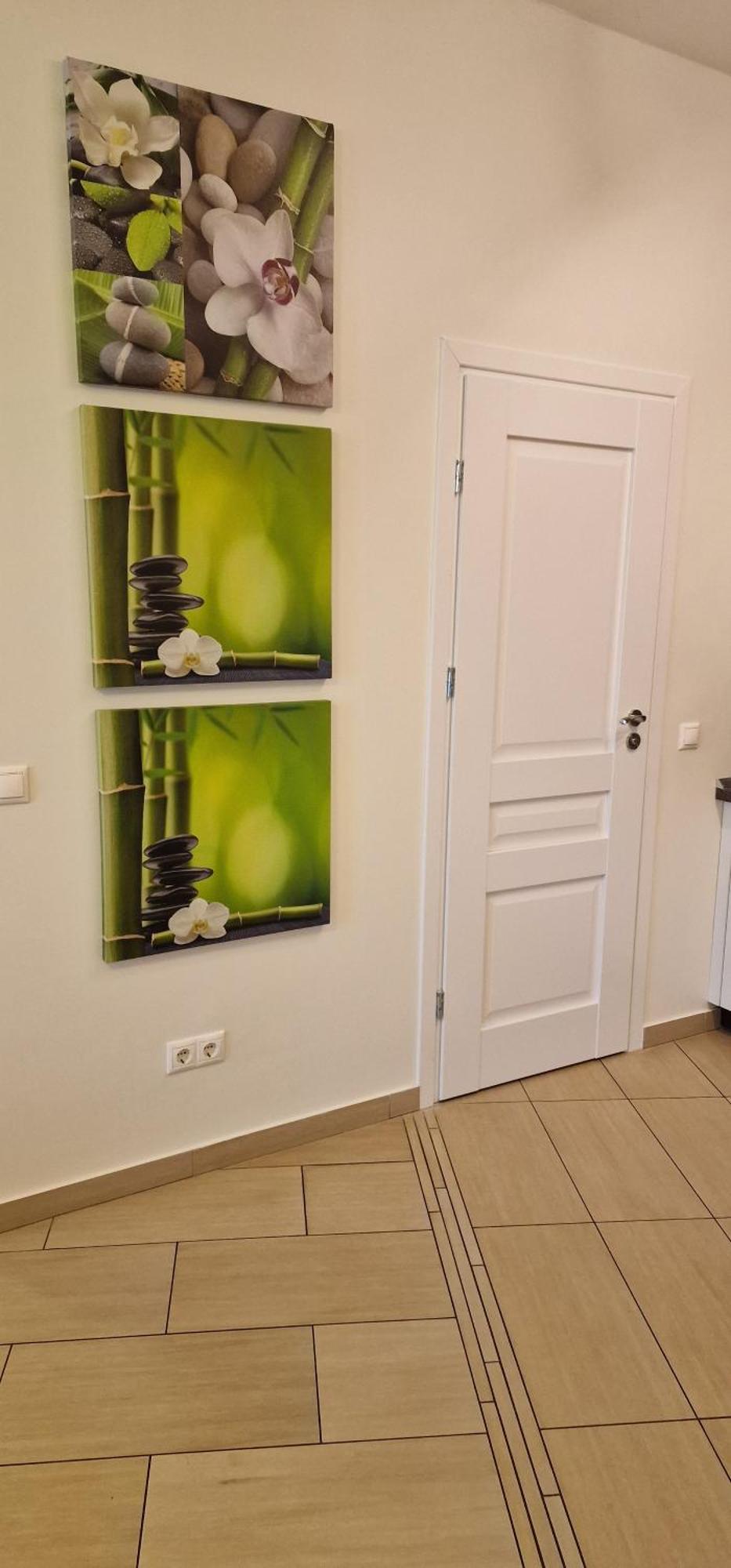 Palanga Apartaments - Mickeviciaus 8 Esterno foto